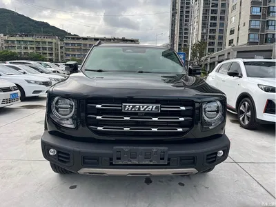2021 Haval Big Dog 1.5T DCT 2WD Border Collie Edition, фото 2, лот 10361761