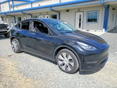 2023 TESLA Y, фото 4, лот 11150523