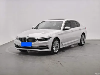2020 BMW 5 Series 530Li Premium Luxury Package, фото 1, лот 11073472