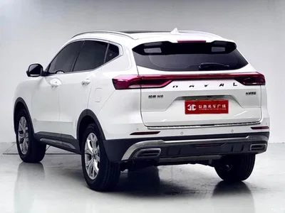 2021 Haval H6 National Trend Edition 1.5GDIT Automatic Champion Edition, фото 4, лот 10299958