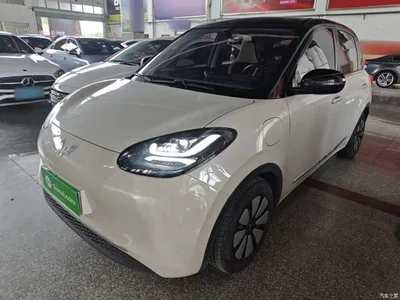 2024 Wuling Motors Wuling Bingo 333km Comfort Edition, фото 1, лот 10370213