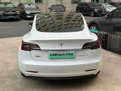 2023 Tesla Model 3 Rear-Wheel Drive, фото 4, лот 10662129