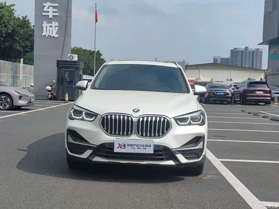 2020 BMW X1 xDrive25Li Premium Edition, фото 2, лот 10455611