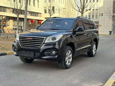2017 Haval H9 2.0T Gasoline 4WD Premium 7-Seater, фото 1, лот 10300957