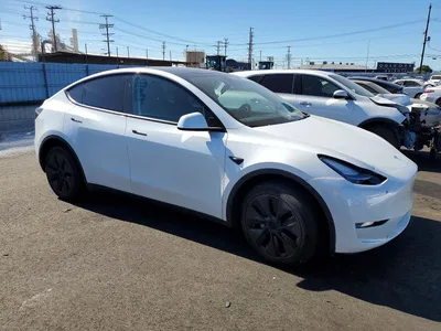 2024 TESLA MODEL Y, фото 4, лот 10857365