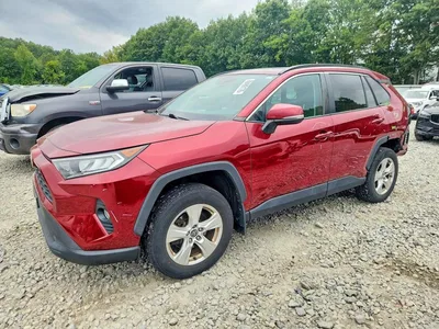 2020 TOYOTA RAV4 XLE, фото 1, лот 11208182