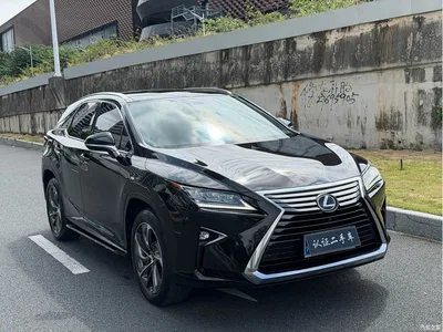 2016 Lexus RX 300 4WD Elegance Edition (China V), фото 3, лот 11548441