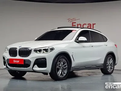 2020 BMW X4 xDrive20i M Sport X, фото 1, лот 10197066