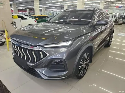 2021 Changan Oshan Changan Oushang X5 1.5T DCT Flagship, фото 1, лот 11214550