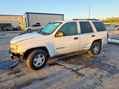 2002 CHEVROLET TRAILBLAZER, фото 1, лот 10979216