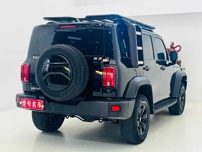 2021 Tank 300 Off-road Version 2.0T Conqueror, фото 4, лот 11205176