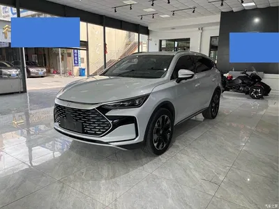 2024 BYD Tang New Energy Model DM-i Glory Edition 112KM Flagship Type, фото 1, лот 10273419
