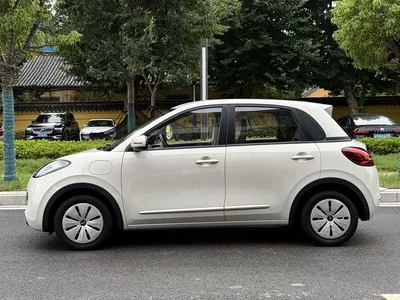 2024 Wuling Motors Wuling Bingo 203km Lite Edition, фото 3, лот 10886655