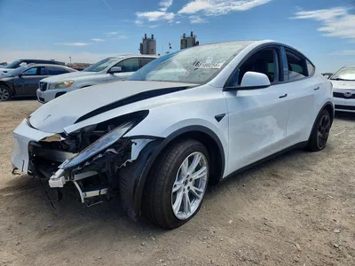 2023 TESLA MODEL Y, фото 1, лот 10856774
