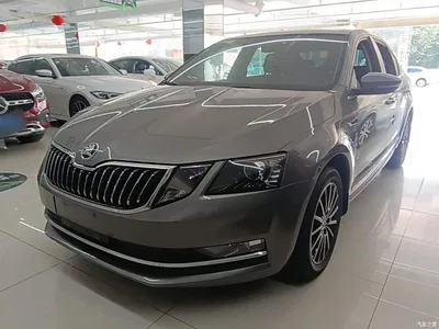 2019 Škoda Octavia TSI230 DSG Zhixing Luxury Edition China VI, фото 1, лот 10451798