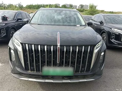 2024 Hongqi HS7 PHEV 2.0T PHEV 4WD Flagship Edition 6-seater, фото 3, лот 10289933
