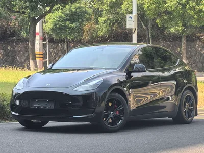 2021 Tesla Model Y Standard Range Rear-Wheel Drive, фото 1, лот 11192646