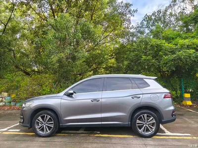 2022 BYD Song Pro New Energy DM-i 51km Luxury, фото 3, лот 10274788