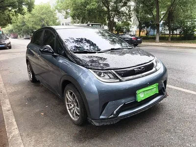 2024 BYD Dolphin Glory Edition 401km Knight Edition, фото 4, лот 10769353