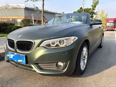 2015 BMW 2 Series (Import) 218i Convertible Coupe, фото 1, лот 11461741