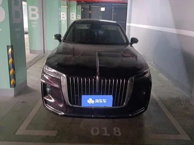 2020 Hongqi H9 2.0T Smart Connection Qi Chang Edition, фото 2, лот 10287943