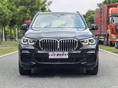 2019 BMW X5 (Import) xDrive40i M Sport Package, фото 2, лот 10464216