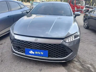 2023 BYD Qin PLUS Champion Edition DM-i 55KM Surpassing, фото 2, лот 10684784