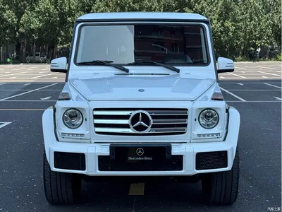 2017 Mercedes-Benz G-Class G 500, фото 1, лот 10281040