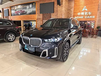 2023 BMW X5 xDrive 40Li M Sport Package, фото 1, лот 10462737