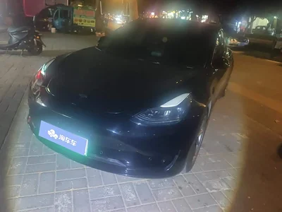 2021 Tesla Model 3 Standard Range Rear-Wheel Drive Upgrade 3D6, фото 1, лот 11249309