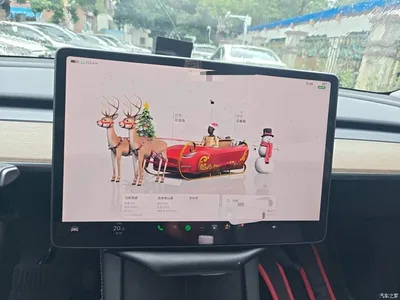 2022 Tesla Model Y Facelift Rear-Wheel Drive Version, фото 4, лот 10370696