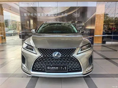 2020 Lexus RX Facelift 300 2WD Elite Edition, фото 2, лот 11249973