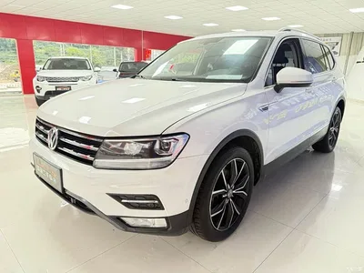 2019 Volkswagen Tiguan L 330TSI Automatic 2WD Smart Luxury Edition China VI, фото 1, лот 11247232