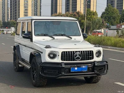 2017 Mercedes-Benz G-Class Model G 350 d, фото 1, лот 11530588