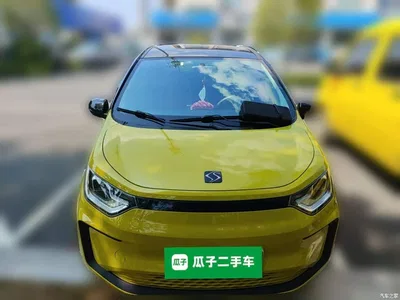 2021 Sehol Flower Fairy 302km Surpass Edition 31.4kWh, фото 3, лот 11153482