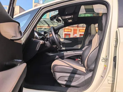 2025 BYD Dolphin 420km Fashion Edition, фото 4, лот 10256699