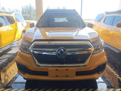 2023 Dongfeng Rich 6 New Energy Palasso Van Standard Edition 320km, фото 3, лот 11545767
