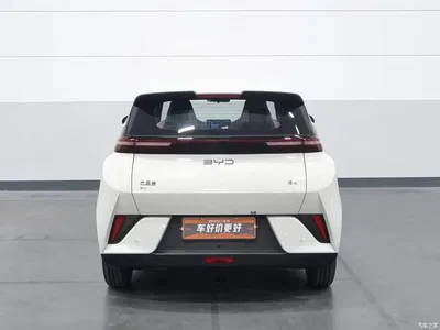 2025 BYD Seagull Smart Drive Edition 305km Vitality Version, фото 4, лот 11136588