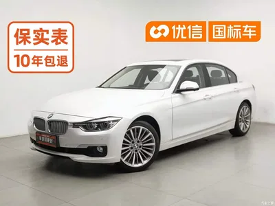 2019 BMW 3 Series 320Li Fashion Type, фото 1, лот 11133031