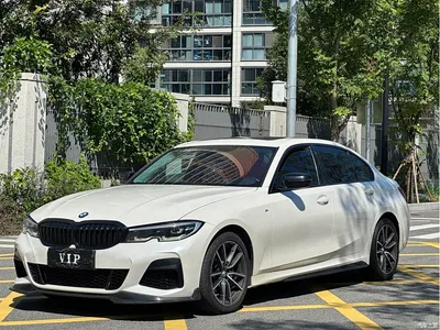 2020 BMW 3 Series 325Li M Sport Package, фото 1, лот 11582593