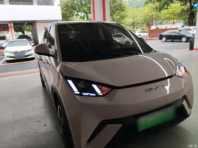 2023 BYD Seagull Vitality Edition, фото 4, лот 10262808