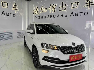 2022 Škoda Karoq TSI280 Luxury Edition, фото 3, лот 10888307