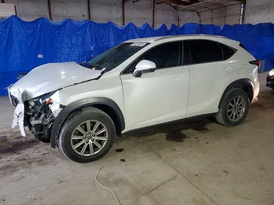 2019 LEXUS NX 200T, фото 1, лот 10843028