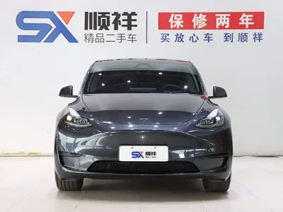 2024 Tesla Model Y Rear-Wheel Drive Version, фото 2, лот 11203752