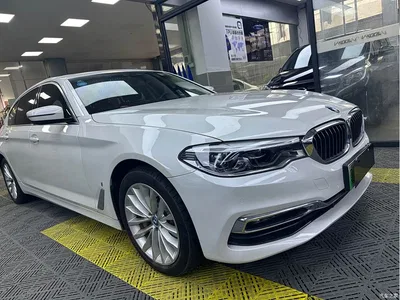 2019 BMW 5 Series New Energy 530Le Luxury Package, фото 3, лот 10474167