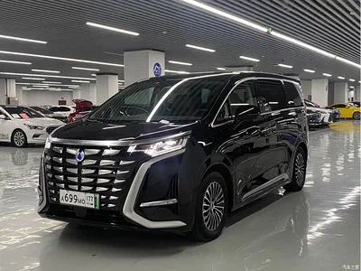 2022 Denza D9 DM-i 970 All-Wheel Drive Honor Edition, фото 1, лот 10350989