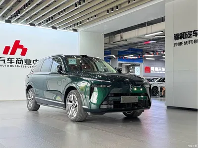 2025 WEY Lanshan AWD Max, фото 3, лот 10383524