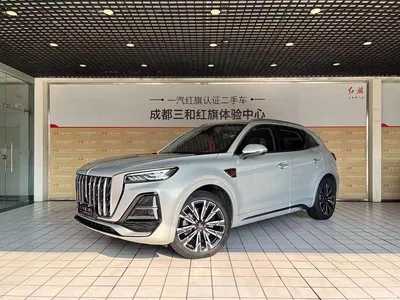 2023 Hongqi HS5 2.0T 4WD Flag Leader Pro, фото 1, лот 10286870
