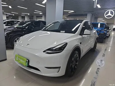 2021 Tesla Model Y Model Long Range AWD, фото 2, лот 10369860