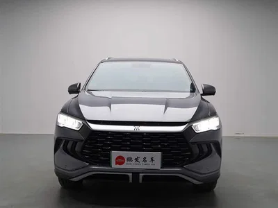 2024 BYD Song Pro New Energy Glory Edition DM-i 71KM Leading, фото 2, лот 10274755